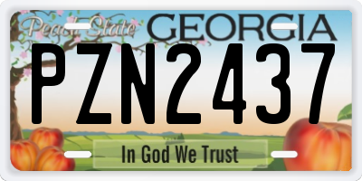 GA license plate PZN2437