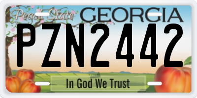 GA license plate PZN2442