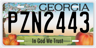 GA license plate PZN2443