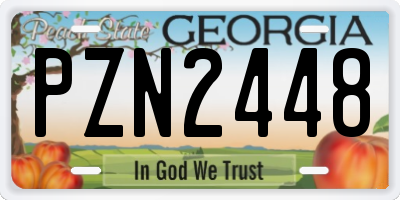 GA license plate PZN2448