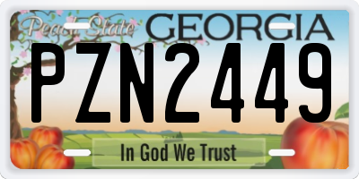 GA license plate PZN2449