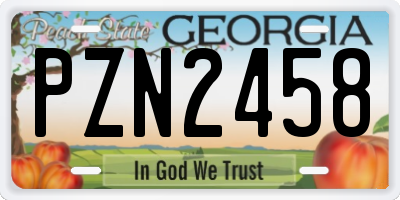 GA license plate PZN2458