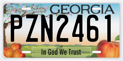 GA license plate PZN2461