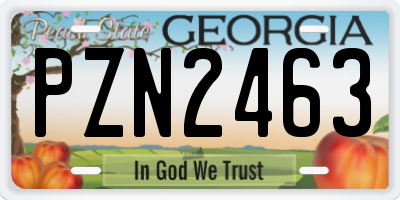 GA license plate PZN2463