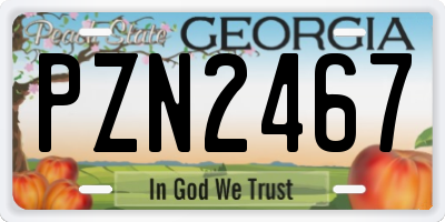 GA license plate PZN2467