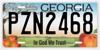 GA license plate PZN2468