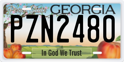 GA license plate PZN2480