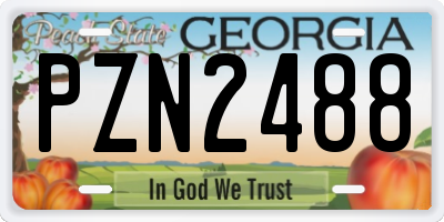 GA license plate PZN2488