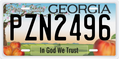 GA license plate PZN2496