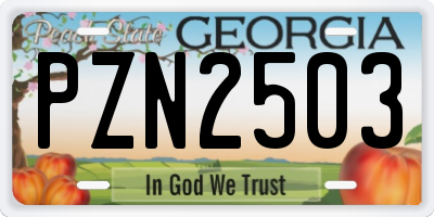 GA license plate PZN2503