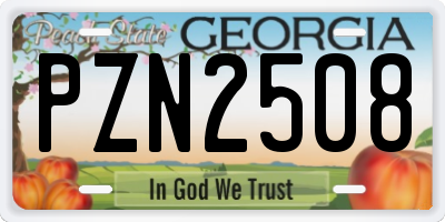 GA license plate PZN2508