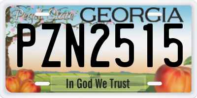 GA license plate PZN2515