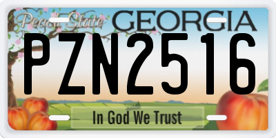 GA license plate PZN2516
