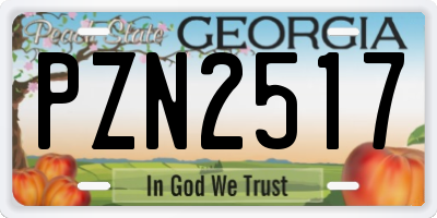 GA license plate PZN2517