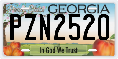 GA license plate PZN2520