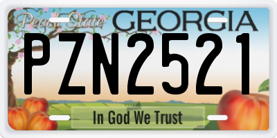GA license plate PZN2521