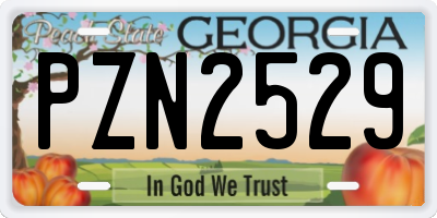 GA license plate PZN2529