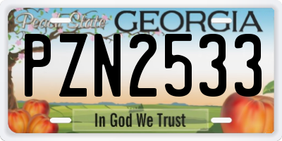GA license plate PZN2533