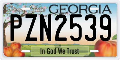 GA license plate PZN2539