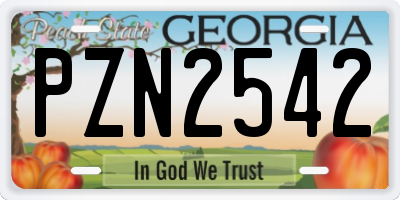 GA license plate PZN2542