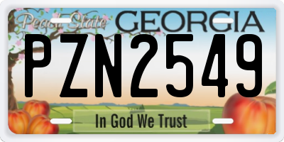 GA license plate PZN2549