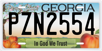 GA license plate PZN2554