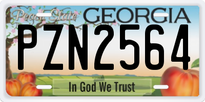 GA license plate PZN2564