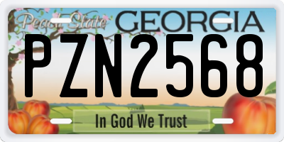 GA license plate PZN2568