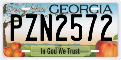 GA license plate PZN2572