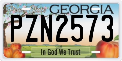 GA license plate PZN2573
