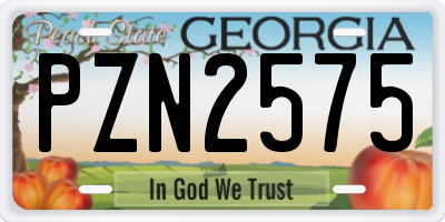 GA license plate PZN2575