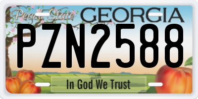 GA license plate PZN2588
