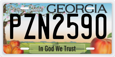 GA license plate PZN2590
