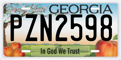GA license plate PZN2598