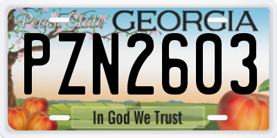 GA license plate PZN2603