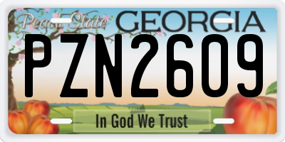 GA license plate PZN2609