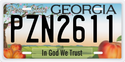 GA license plate PZN2611