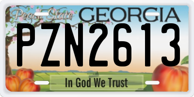 GA license plate PZN2613