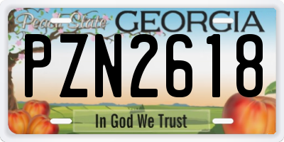 GA license plate PZN2618