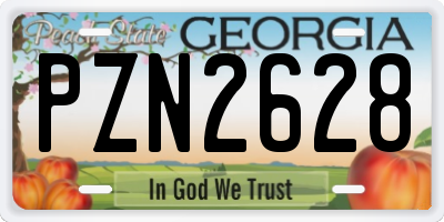 GA license plate PZN2628