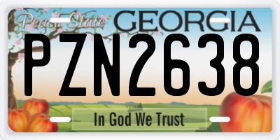 GA license plate PZN2638