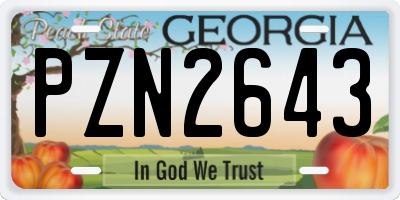 GA license plate PZN2643