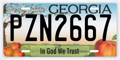 GA license plate PZN2667