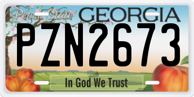 GA license plate PZN2673