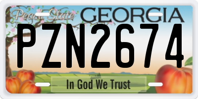 GA license plate PZN2674
