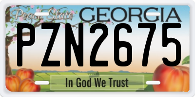 GA license plate PZN2675