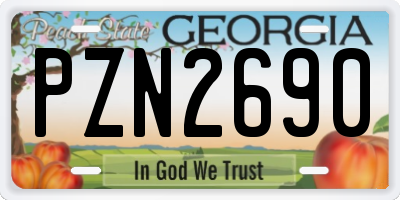 GA license plate PZN2690