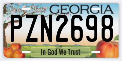 GA license plate PZN2698
