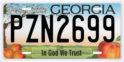 GA license plate PZN2699