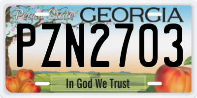GA license plate PZN2703